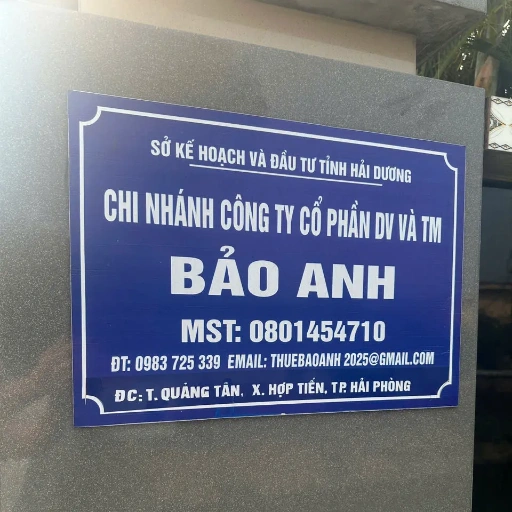 Công ty Bảo Anh